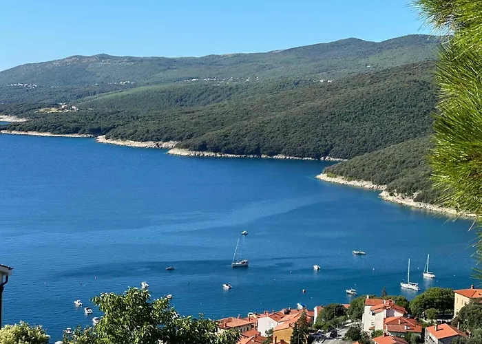 Vista Panorama Luxury Apartman *